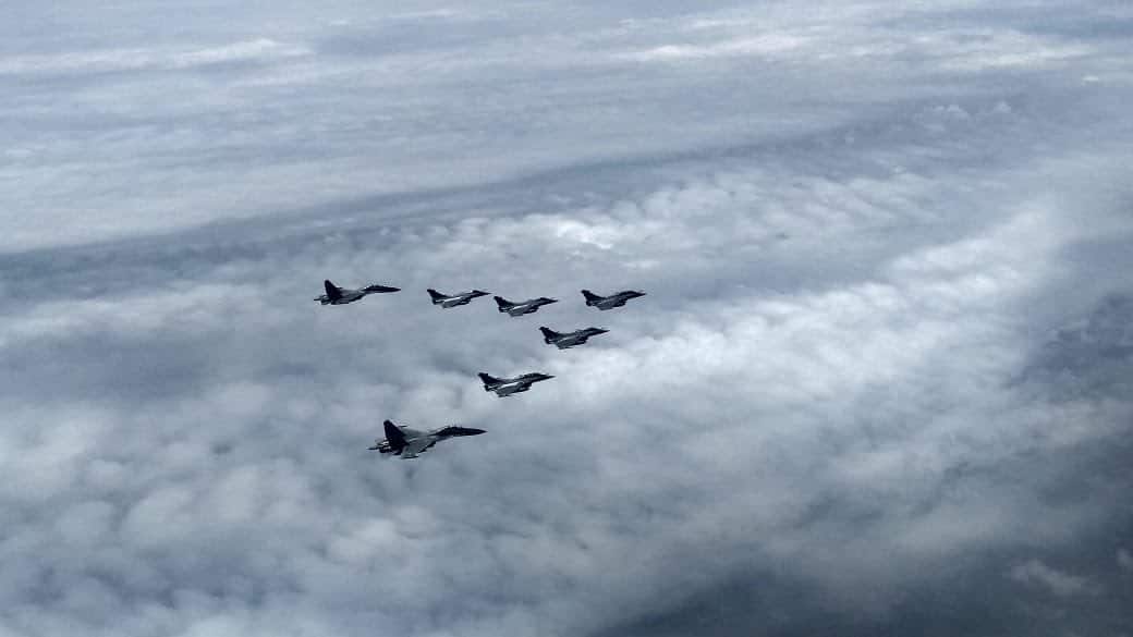 Capture of the Birds have entering the Indian airspace. (Source: @DefenceMinIndia Twitter)