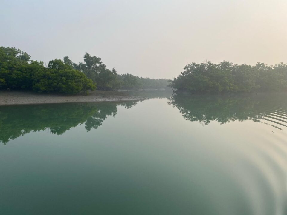 Sundarban Mangrove Forest
