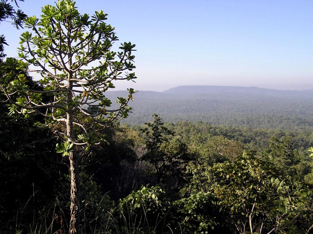 Kanha Tiger Reserve