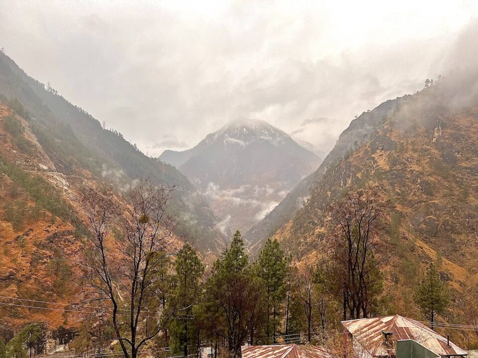 Himalayan Detour: From Snow Leopards to Landscapes