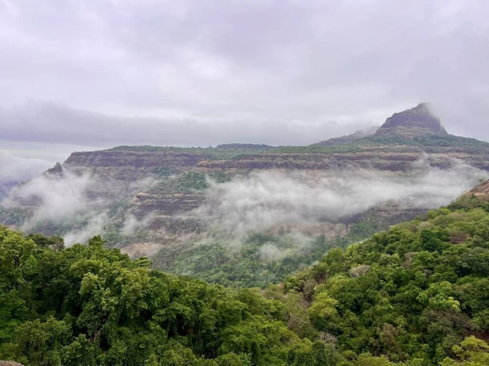 Rajmachi: A Mesmerising Trip Filled with Fun and Fireflies