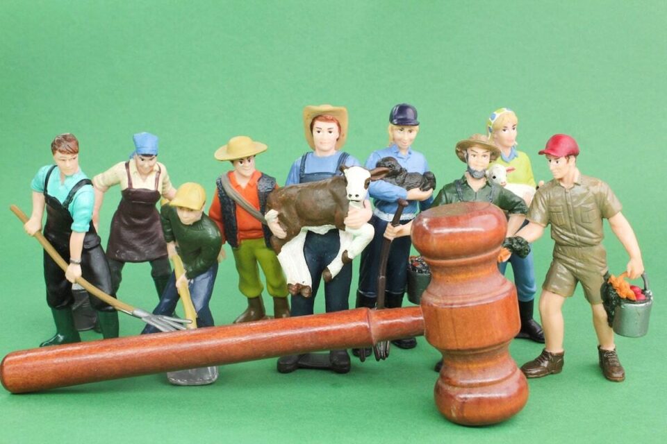 New 2025 Labour Codes